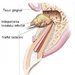 D. Medical Dent - Cabinet stomatologic non stop